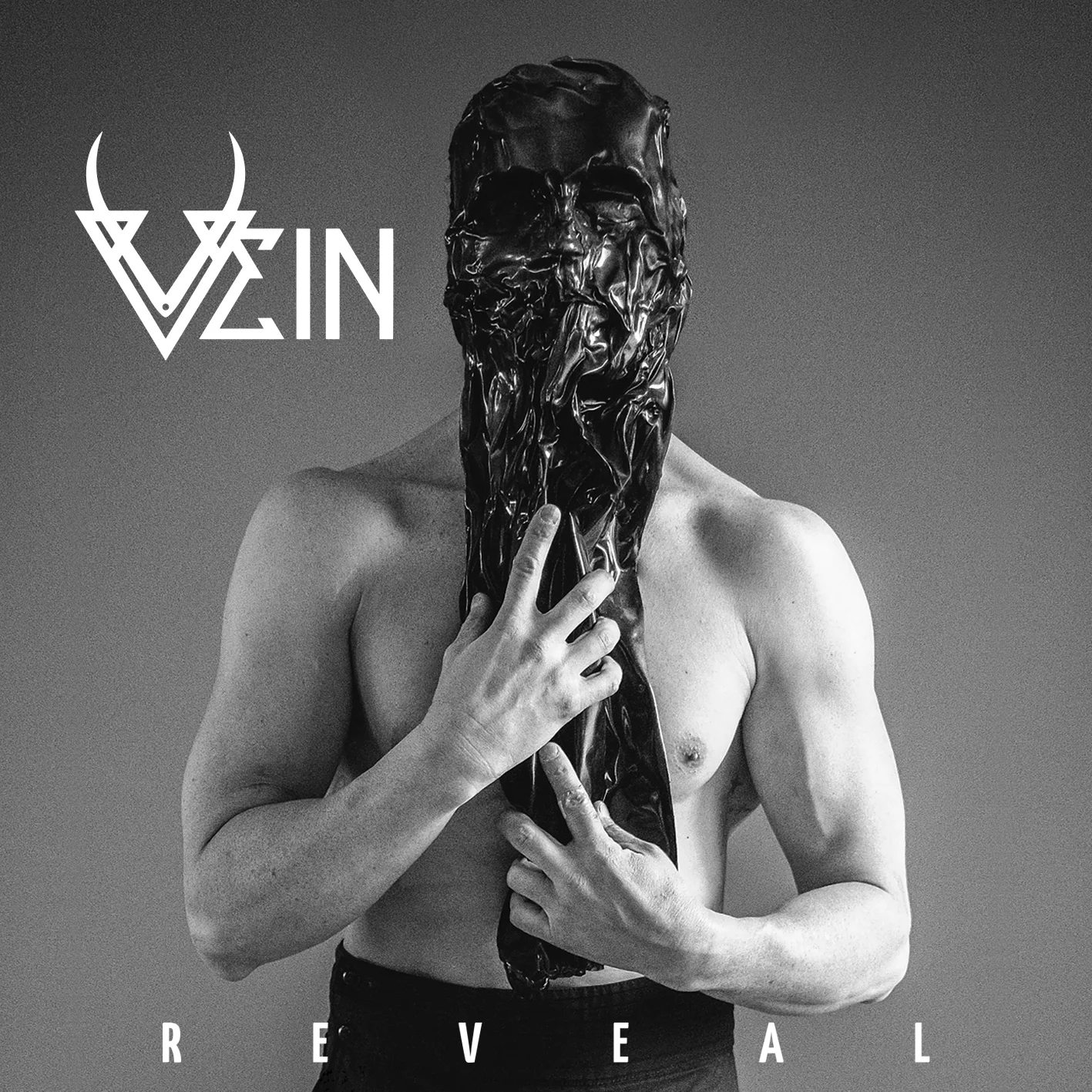 VEIN-Reveal-Cover VEIN-Reveal-Cover
